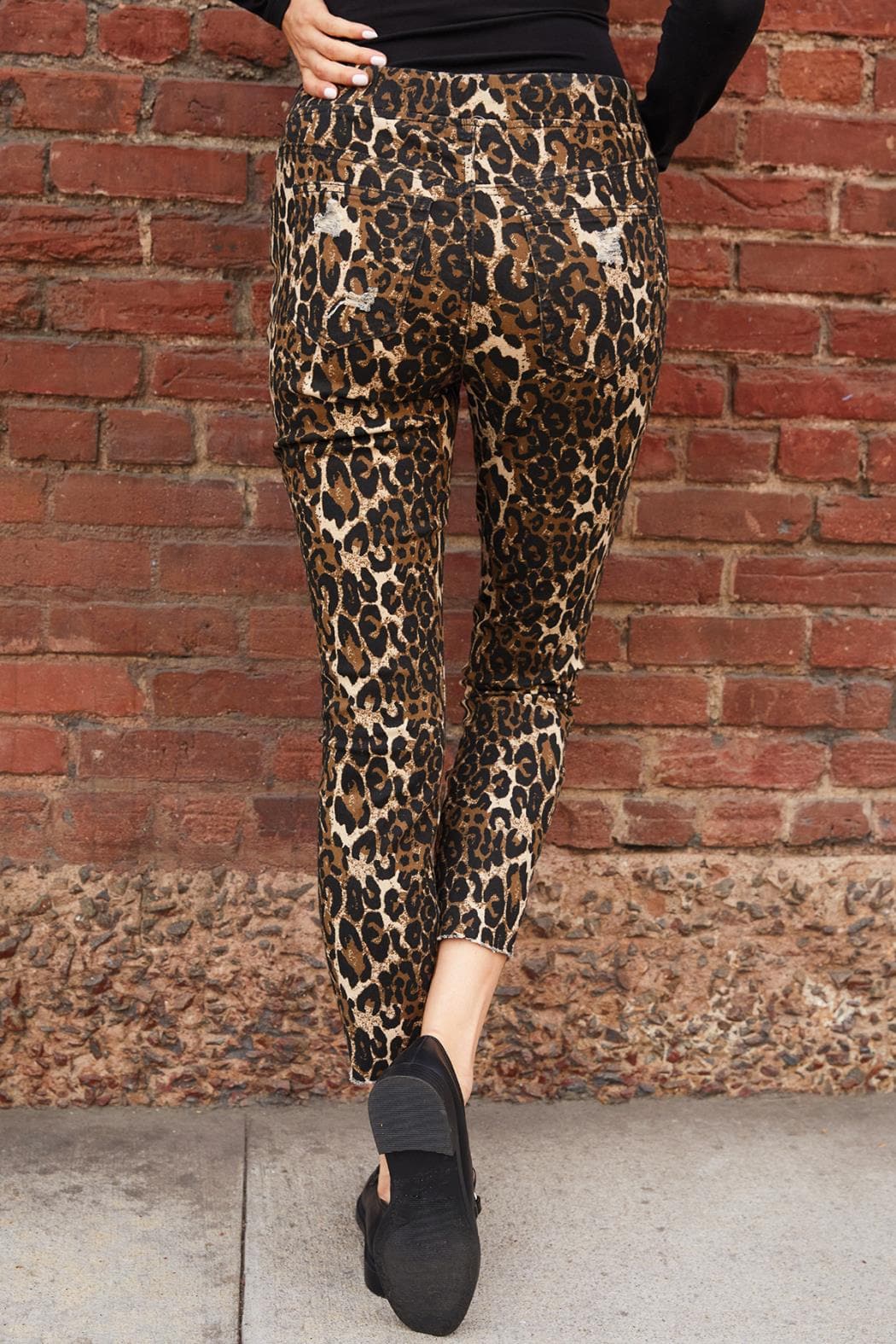 Large Cheetah